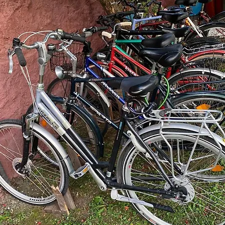 The Hood & Day Tours * Shkodër