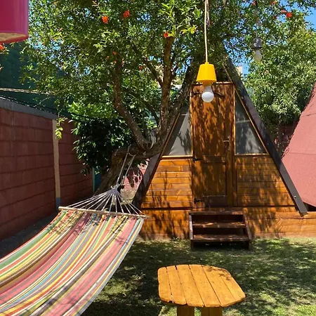 The Hood & Day Tours