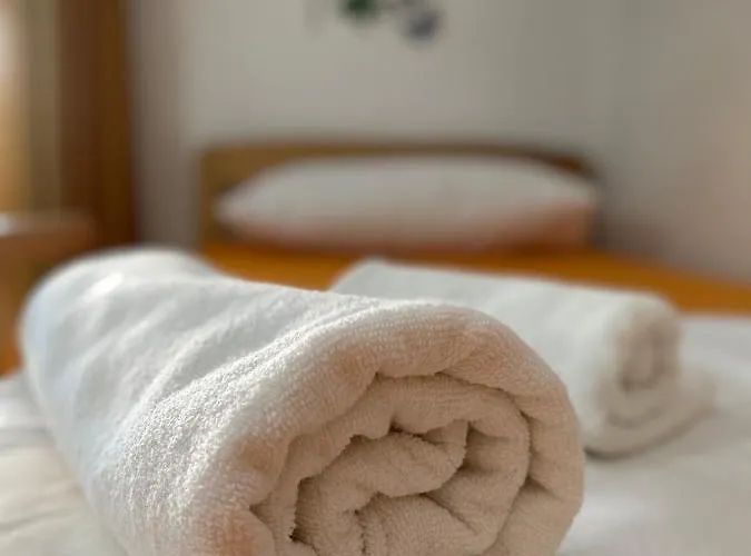 The Hood & Day Tours Ostello Shkodër