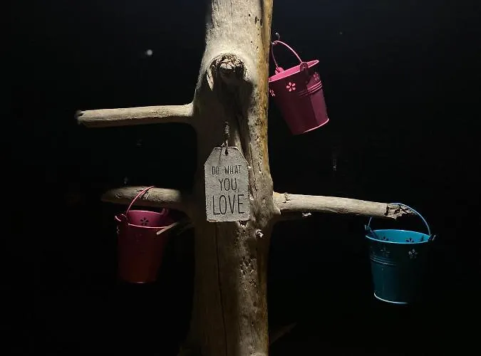 The Hood & Day Tours Ostello