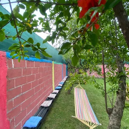 The Hood - Backpackers Shkoder