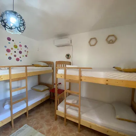 Hostel The Hood & Day Tours *