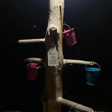 The Hood & Day Tours Hostel