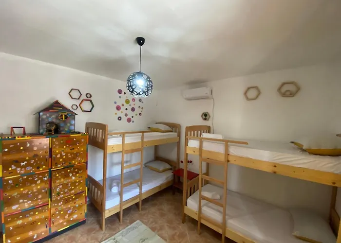 The Hood & Day Tours *